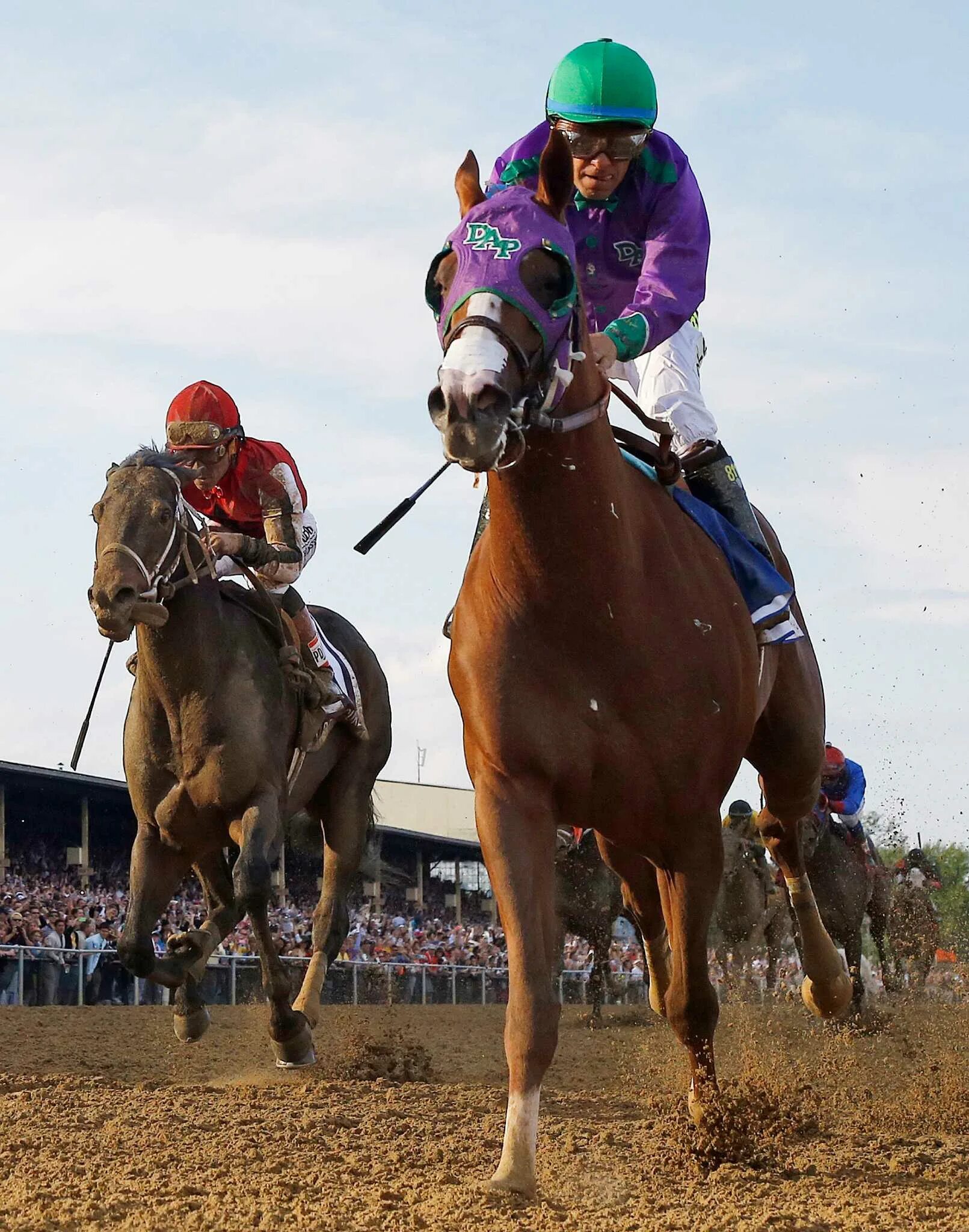 Ivy crown. Ivy crown группа. Узбекские скачки. Len horse. Crown ran.