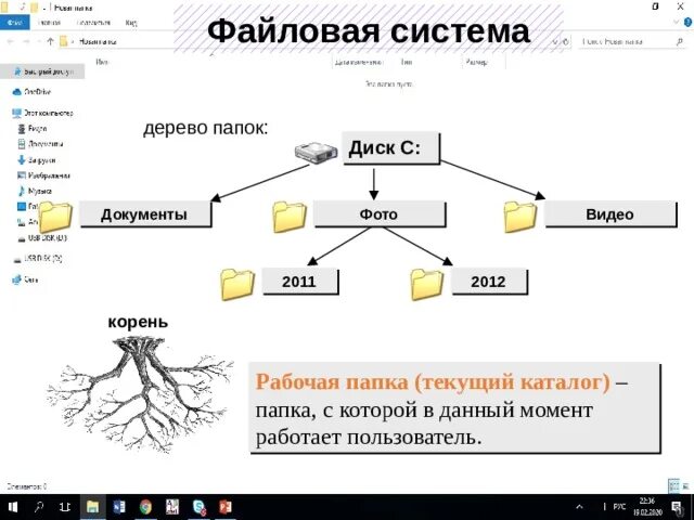 Корневой каталог находится. Дерево папок. Дерево файловой системы. Корень диска c. Корневая папка диска с.