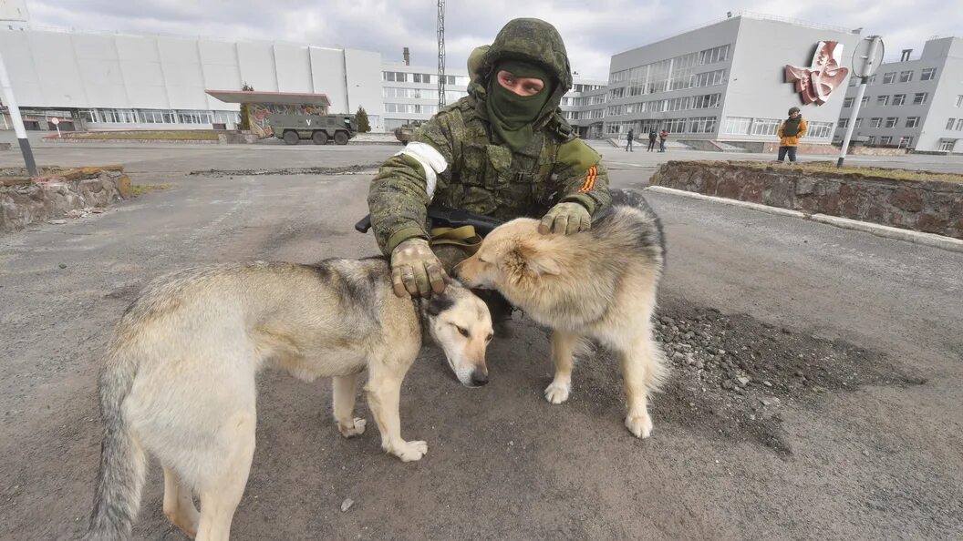 Почему сдают россию. Индус боец ДНР. Комбат индус ДНР. Индус ополченец. Индус командир ДНР.