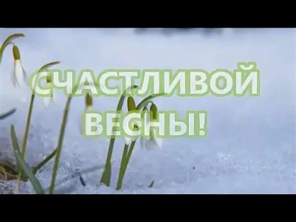 Весну хочу весне дорогу. Вена идет весне дорогу. Котики весной. Весне дорогу!. Фея весны.