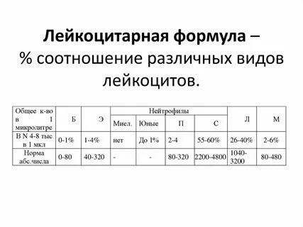 Соотношение лейкоцитарная формула