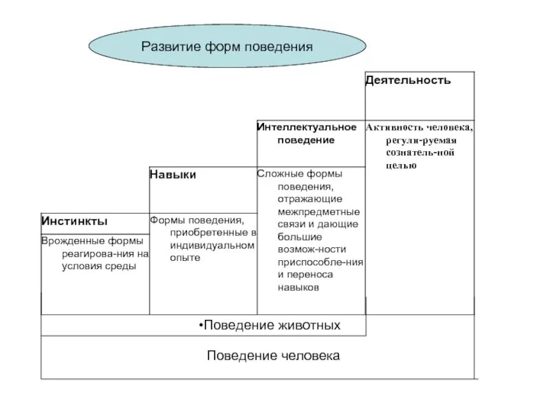 Три формы поведения животных. Формы поведения животных (инстинкт. Навык. Интеллект). Формы поведения животных таблица. Основные формы поведения человека.