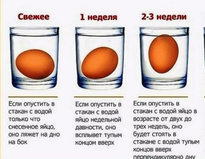 Как проверить перепелиные яйца на свежесть. Свежесть перепелиных яиц. Как определить свежесть перепелиных яиц. Как отличить свежее яйцо. Проверить яйца на свежесть в воде домашних