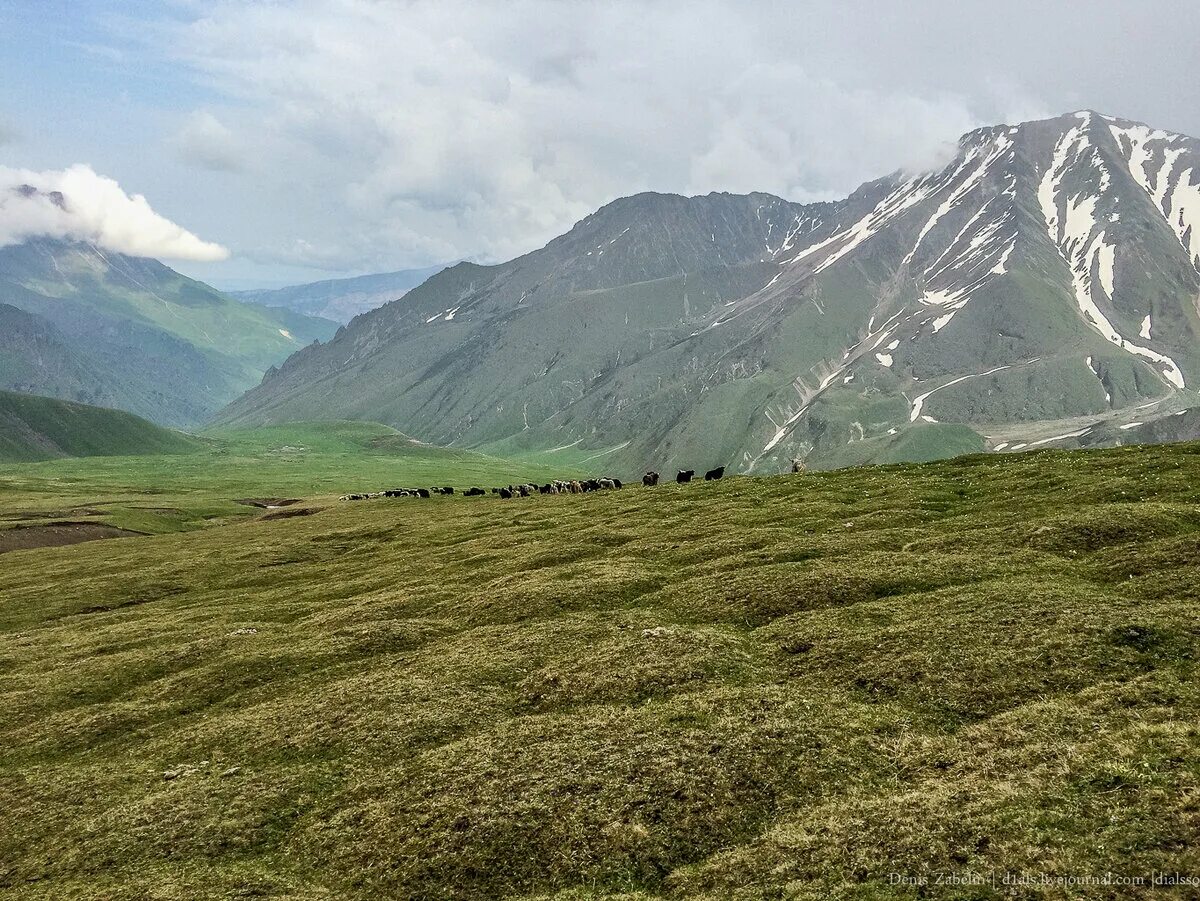 Кабардинские земли. Северный Кавказ Кабардино Балкария. Поля Кабардино Балкарии. Кабардино-Балкария равнины. Равнины Северного Кавказа.