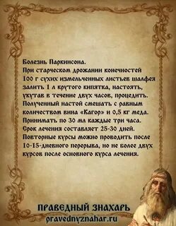 Знахарь дзен