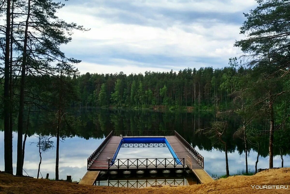 Озерки верхнее суздальское озеро. Озеро верхнее суздальское санкт-петербург. Щучье озеро комарово. Озерки суздальские озера. Нижнее суздальское озёро санкт-петербург.