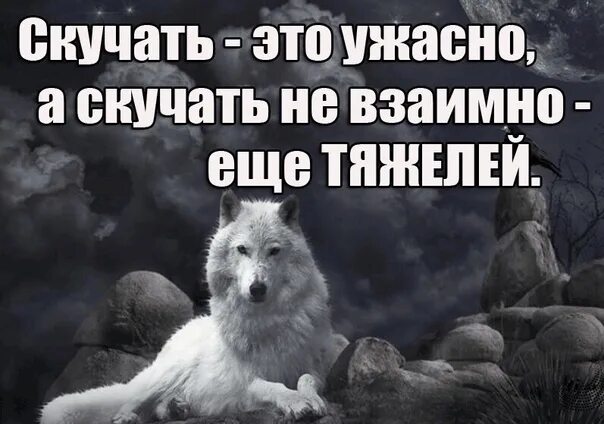 Ужасно жаль. Ужасно соскучилась. Скучать. Ты скучаешь по мне. Когда скучаешь по человеку картинки.