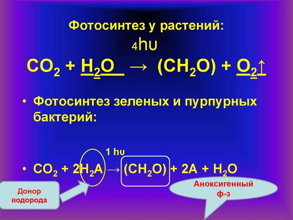 Co2 h2o фотосинтез. Формула фотосинтеза. Пурпурные бактерии фотосинтез. Со2 фотосинтез. Формула фотосинтеза у растений.