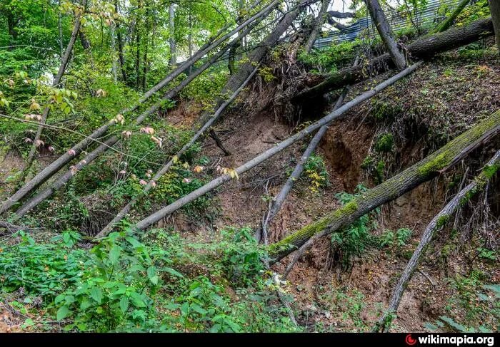 Овраг текижа боровск. Овраг 2 буквы. Липовый лес харцызск. Овраг 2 буквы. Овраг 2 буквы.