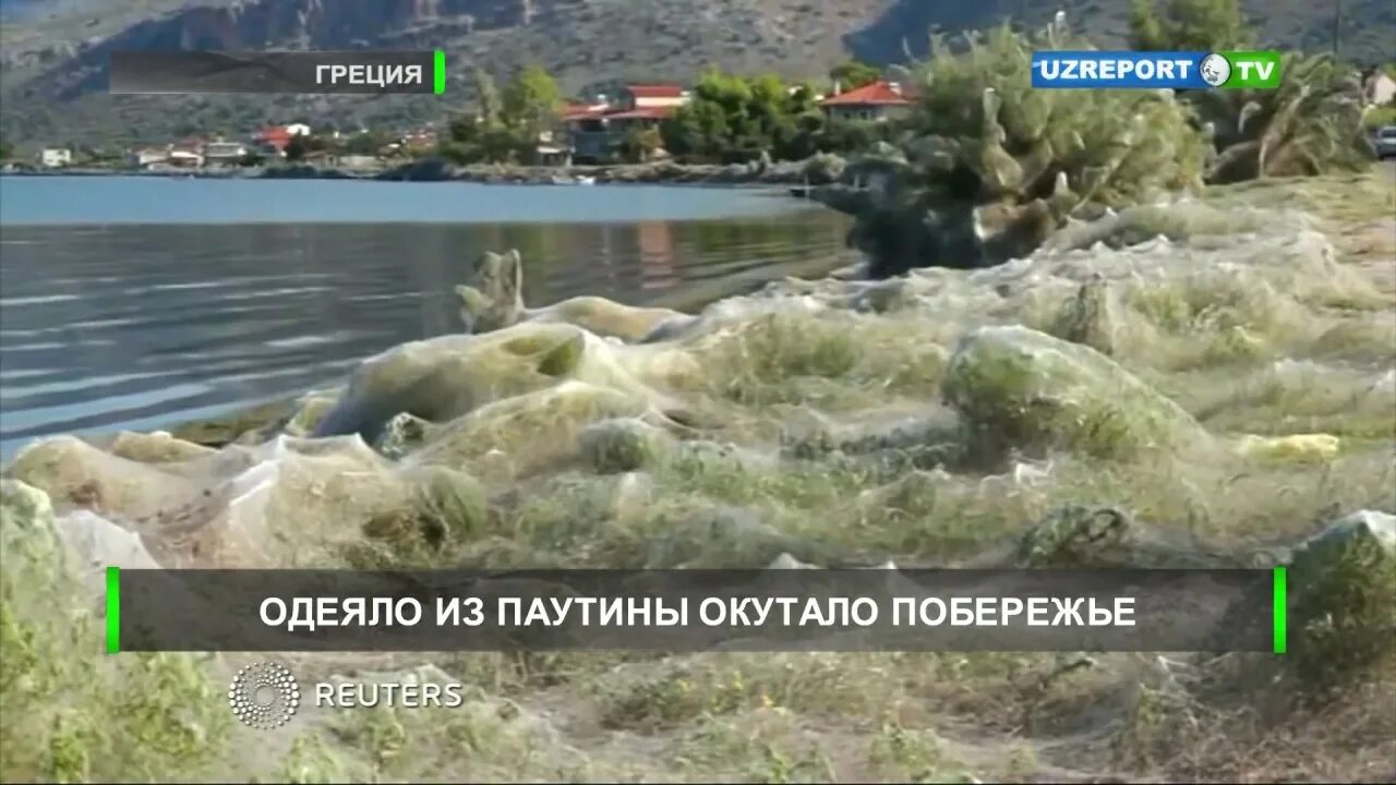 Туман в киржаче сегодня. Молочный туман днём. Окутала остров. Окутала остров. Окутала.