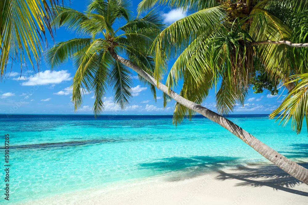 Карибы карибское море. Карибы карибское море. Ямайка фото. Антигуа и барбуда. Caribbean сайт.