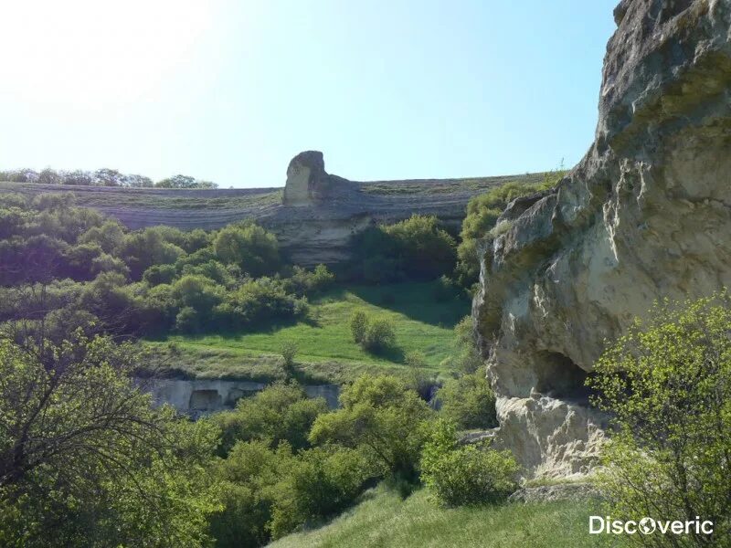 Тополи бахчисарайский. Бакла Бахчисарайский район. Бакла Скалистое. Пещерный город Бакла. Скалистое Крым пещерный город.