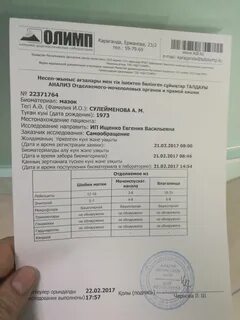 Kdl kz