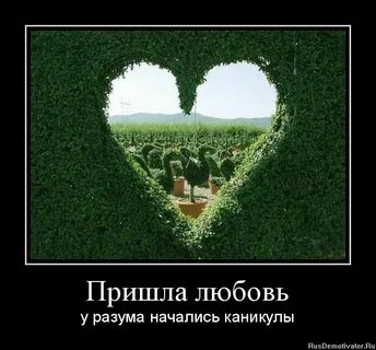 Почему пришла любовь
