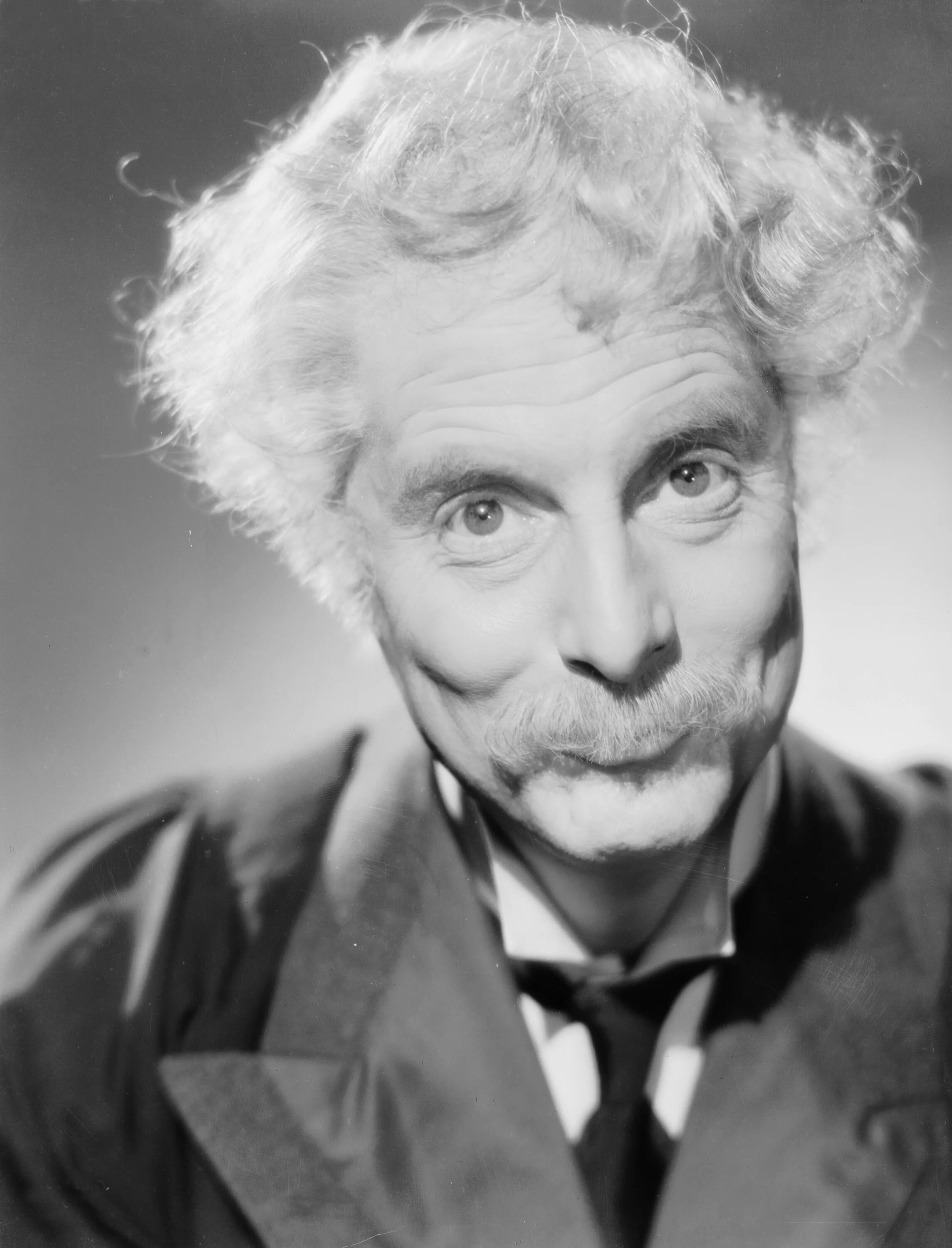 До свидания чипс. Robert donat. до свидания мистер чипс.
