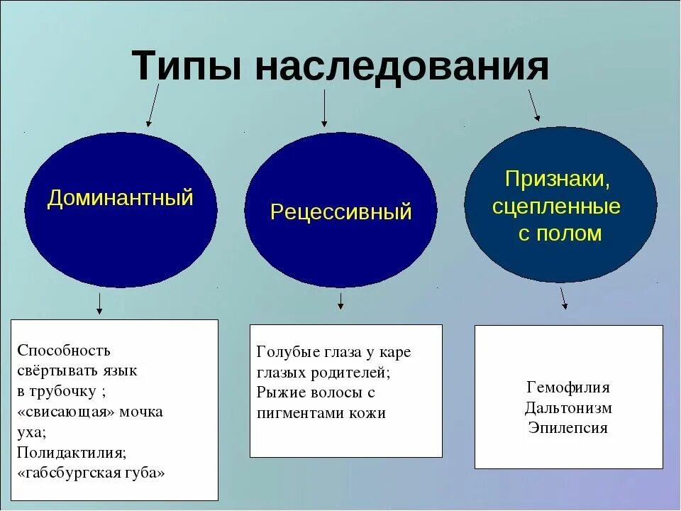 Наследственные признаки биология