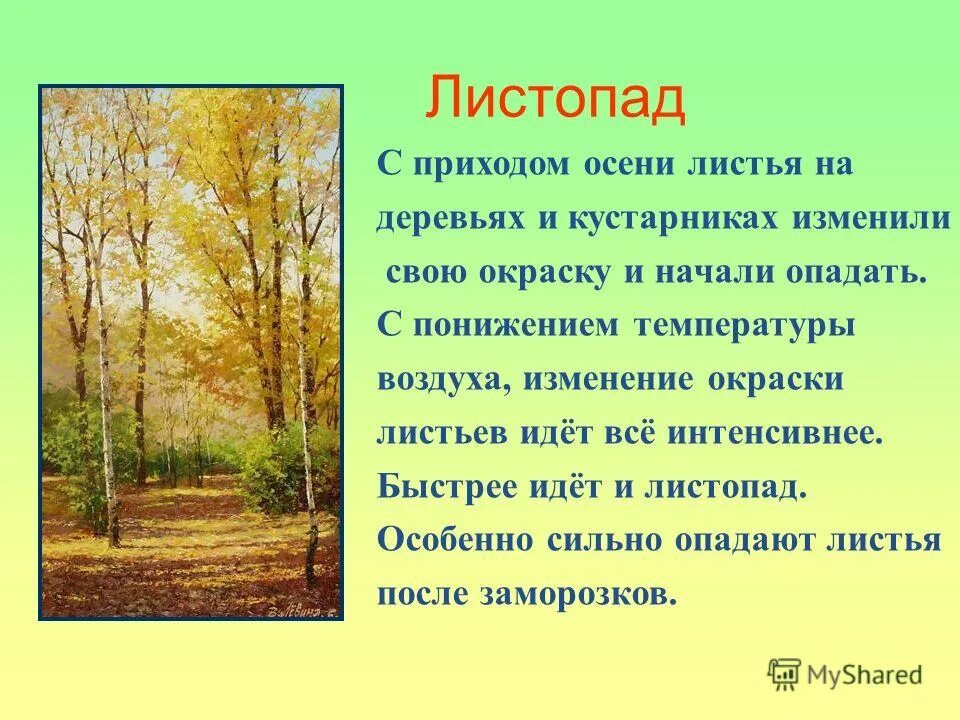 Какие изменения в жизни растений происходят осенью. Что происходит осенью. Осень что происходит. Осенний лес что происходит. Что происходит осенью в лесу.