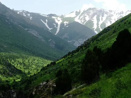 Заповедники казахстана