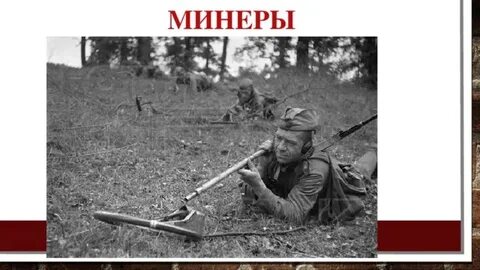 Минеров 4