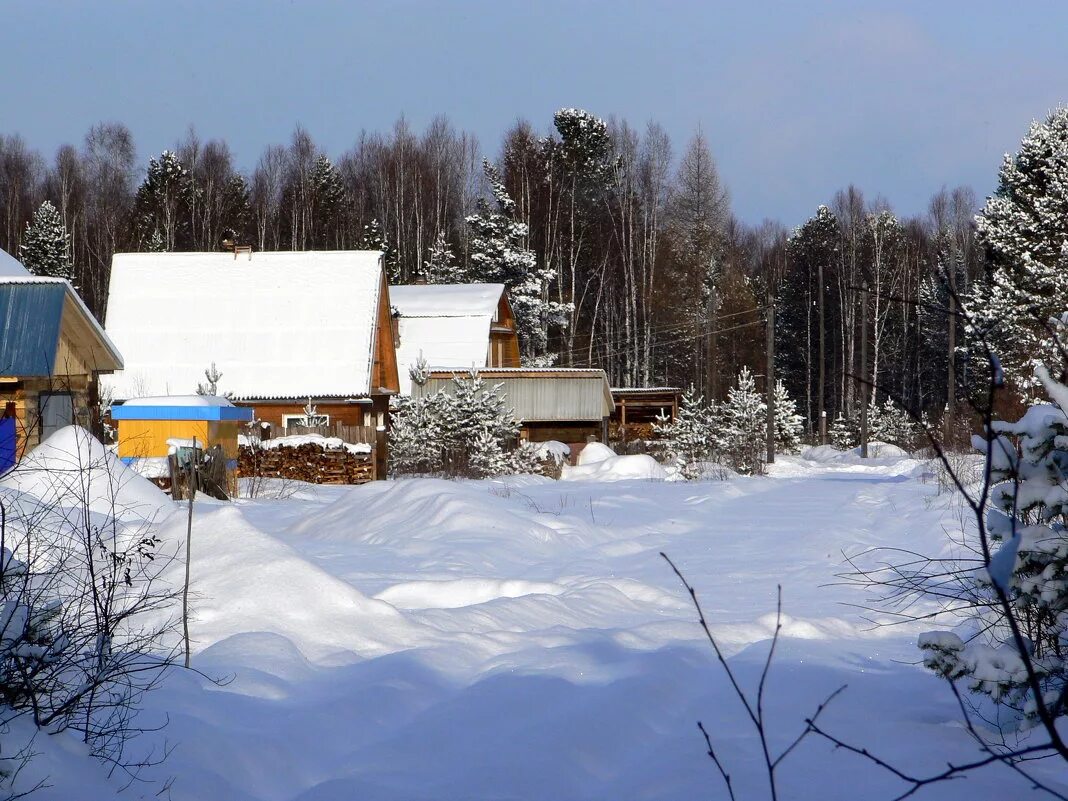 лесная заимка белокуриха. жизнь на уральской заимке. жизнь на уральской заимке. заимка на урале никита. свадебная фотосессия заимка.
