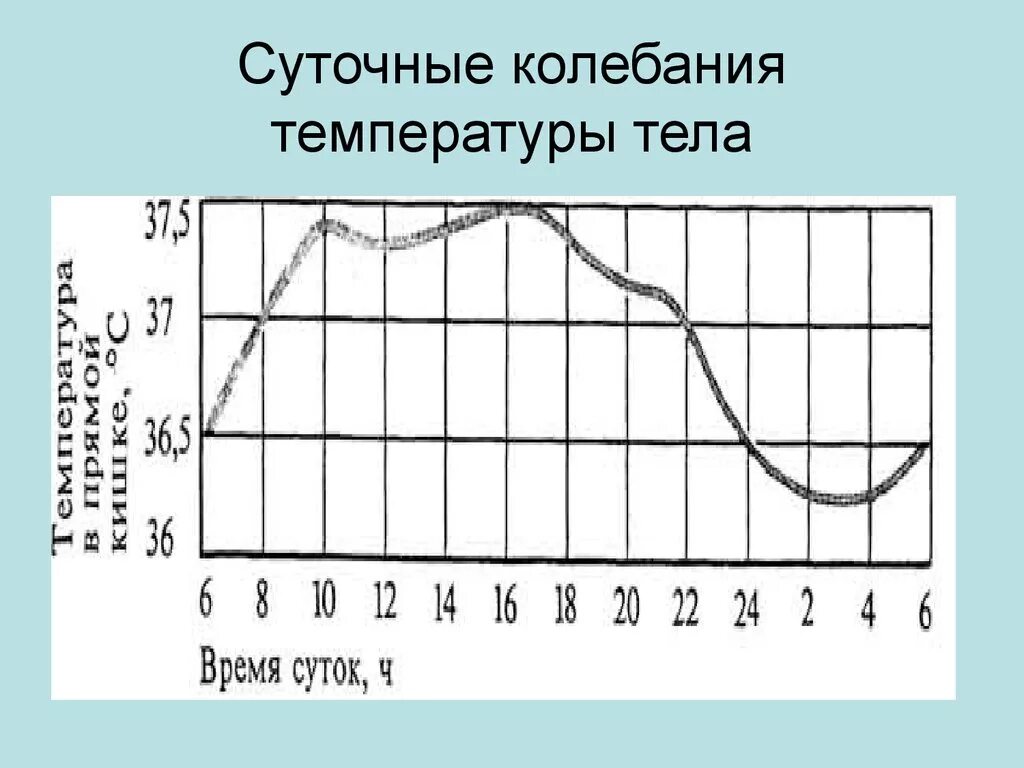 Сильные колебания температуры. Температурная схема тела, ее суточные колебания.. Суточная динамика температуры тела человека физиология. График суточных температурных колебаний. Температура тела человека и ее суточные колебания.