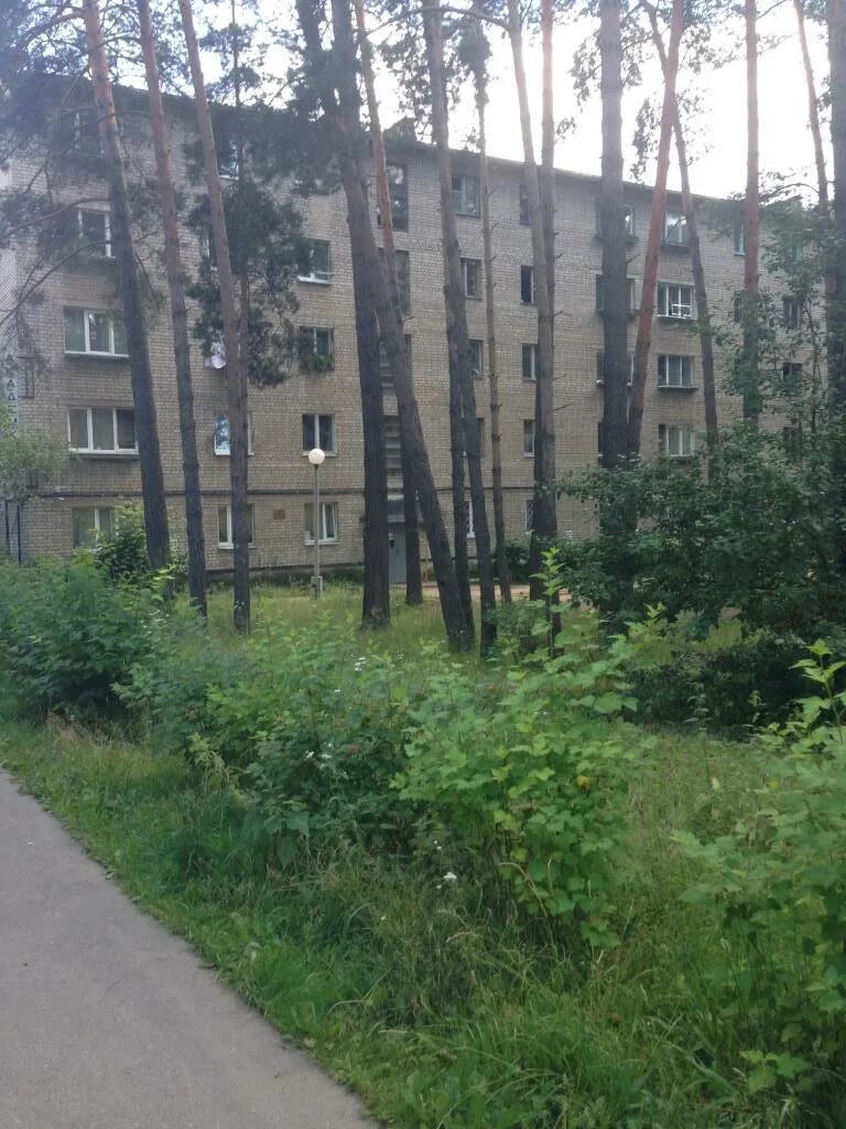 Отзывы о "Парное мясо", Московская область, Протвино, Московская улица, 6А - Янд