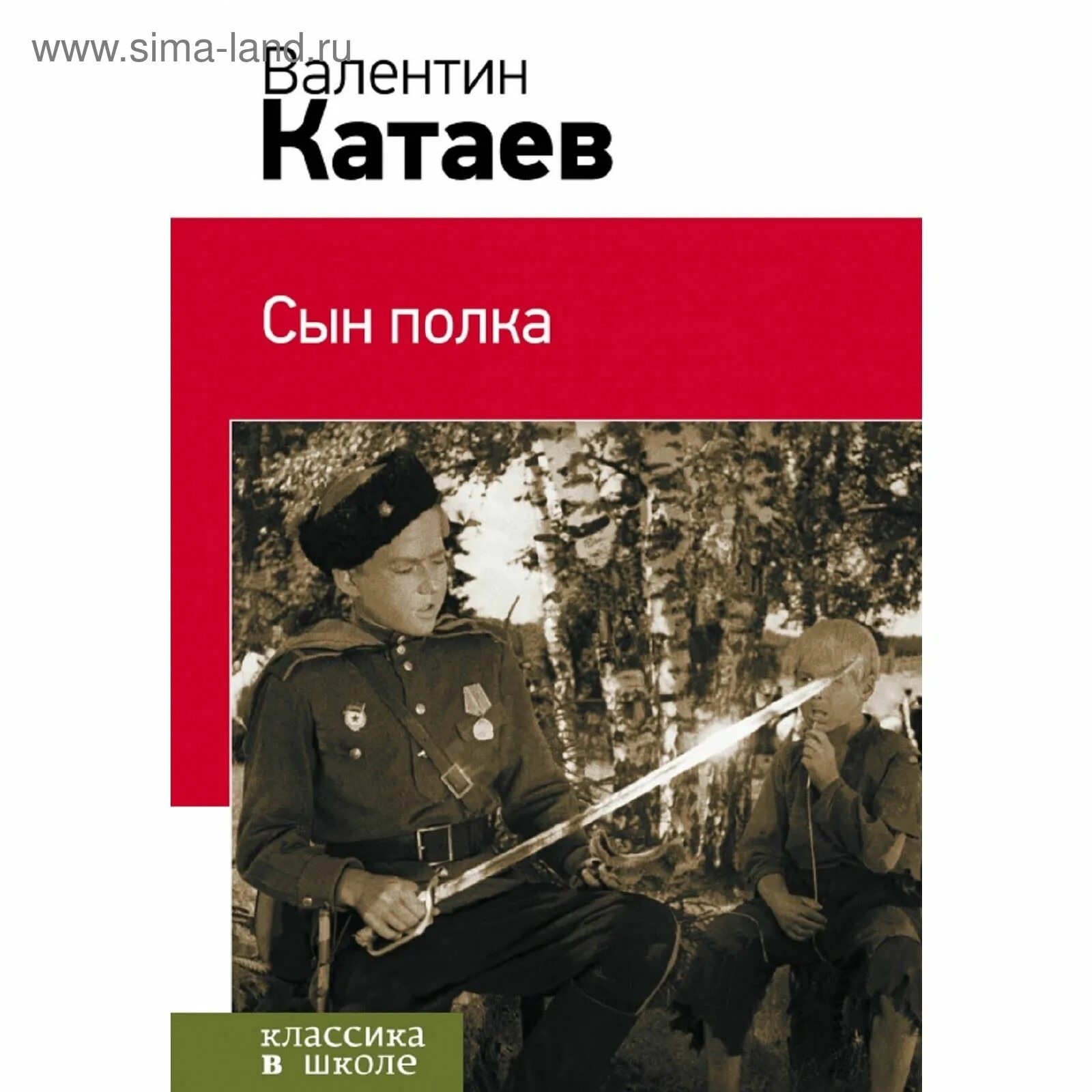 Краткое содержание сын полка катаев по главам. Книга сын полка (катаев в.).