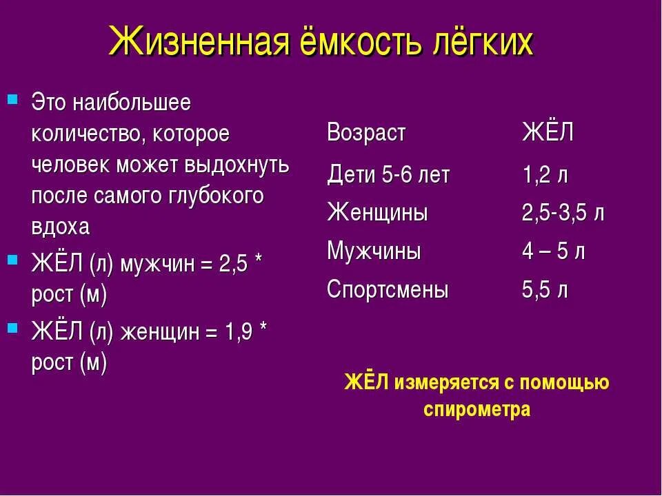 Емкость легких спортсменов. Жизненная емкость легких составляет мл. Жизненная емкость легких норма у женщин. Жизненная емкость легких жел это. Жизненная емкостл легких.