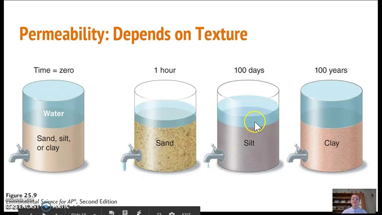 Soil dynamics