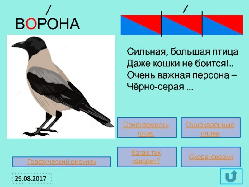 Сколько звуков в слове ворон. Схема слова ворона. Ворона звуковая схема. Схема слова ворона 1 класс. Звуковая схема слова ворона.