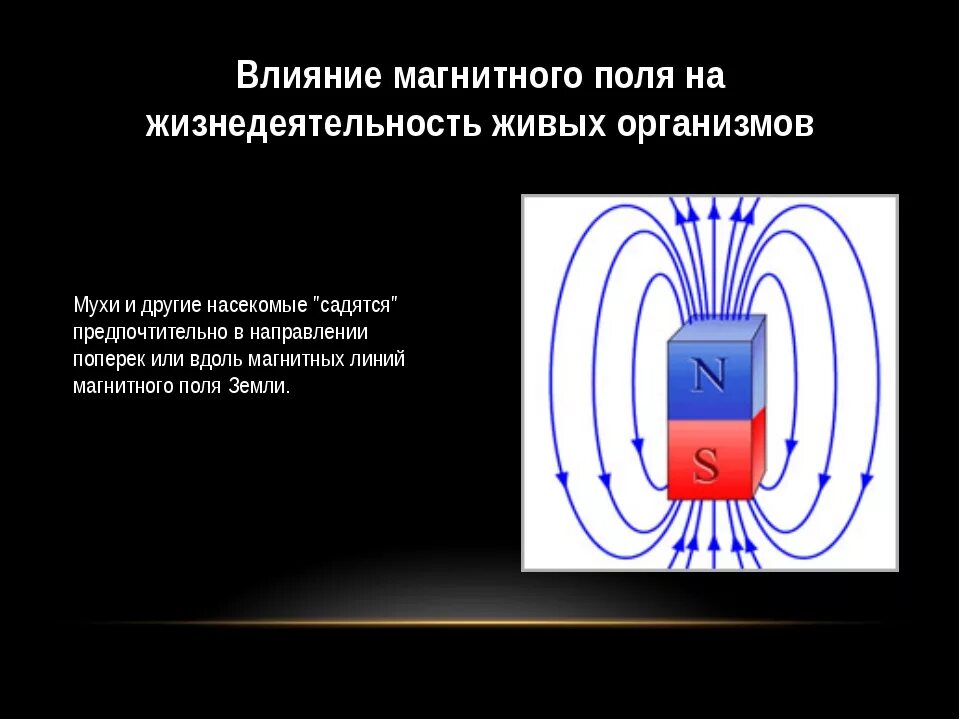 Локальное воздействие постоянного магнитного поля на человека. Ввлинии магнитного поля. Воздействие магнитного поля. Магнитное воздействие. Магнит в электромагнитном поле.