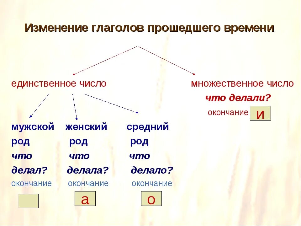 Было время глагола число и род