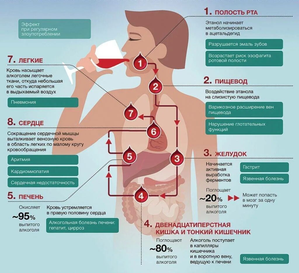 Менее вредны. Инфографика по алкоголю. Инфографика влияние на организм.