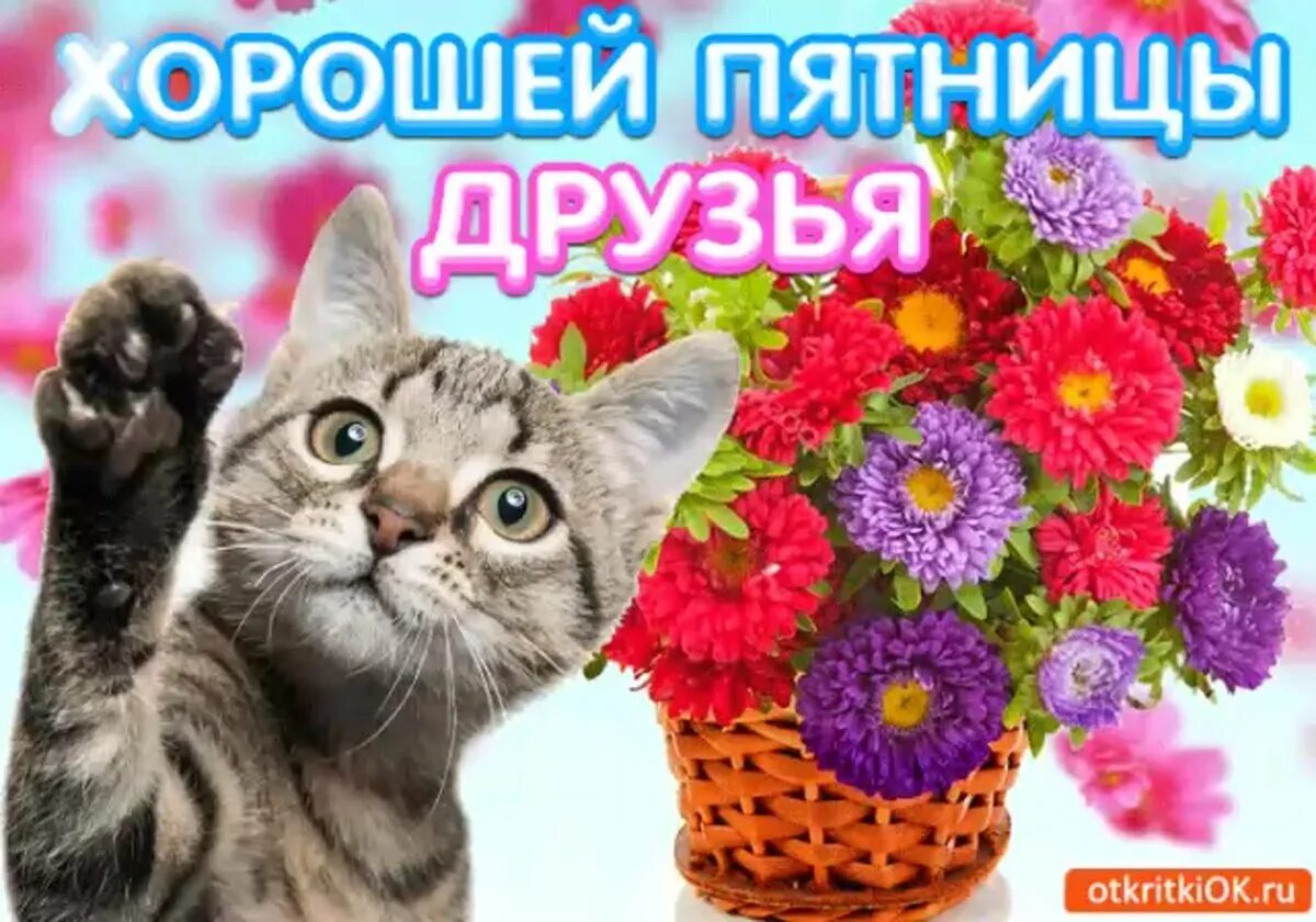 Пожелание доброго утра пятницы прикольные. Открытки хорошей пятницы. пятница открытки красивые. поздравление с пятницей. хорошего дня пятницы.