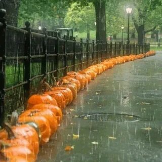 Rain park