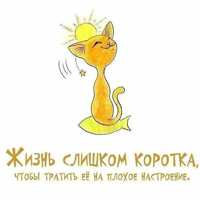 Животные мотиваторы. Открытка доброе утро смешные для поднятия настроения. Открытка доброе утро смешные для поднятия настроения. Сова. Открытка доброе утро смешные для поднятия настроения.