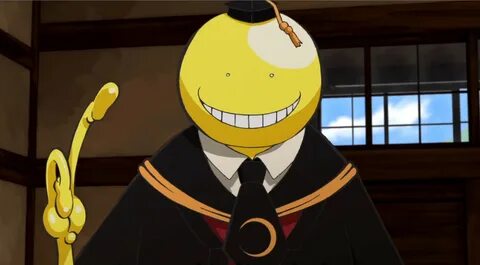 Телефон Магазина Сенсей 