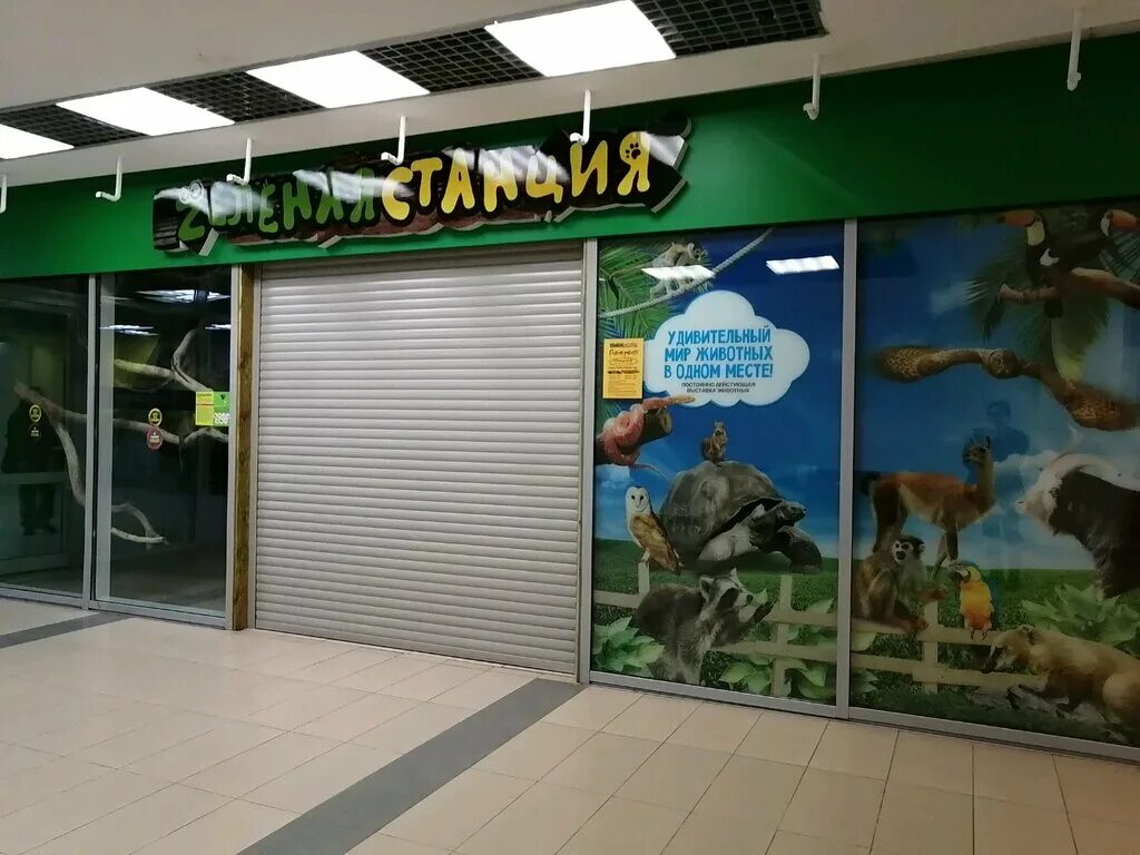 Сити молл тюмень зоопарк. Контактный зоопарк сургут сити молл. Сити молл тюмень зоопарк. Контактный зоопарк в тюмени сити молл. Ручной зоопарк сургут сити молл.
