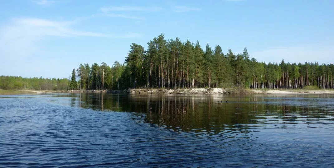 Нижний Лух Добрянский район. Нижний Лух Кама. Лух Пермский край.