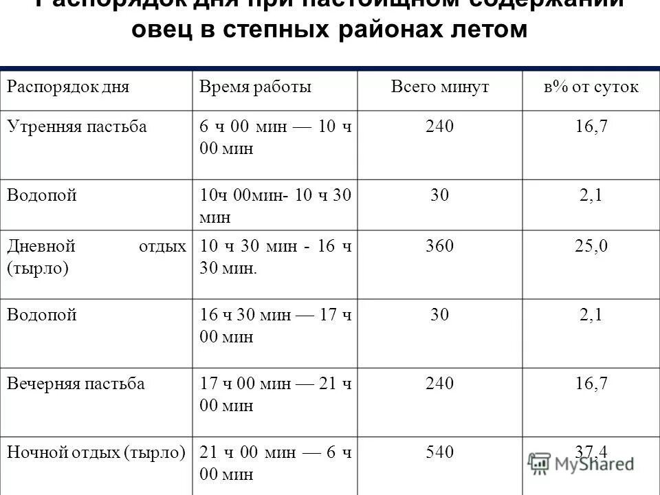 Калькуляция овец в бессонную ночь 7. Бессонница считать овец. Норма расхода кормов на баранов. Бизнес план овцеводство. Спокойной ночи барашки.