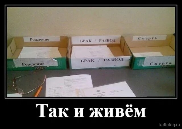 Развод с мужем не удался 81. Приколы про развод. Шутки про развод. Смешные картинки про развод с мужем. Приколы про развод с мужем.