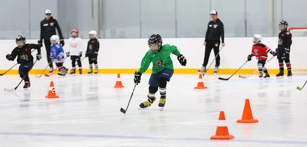 Часы хоккея в спб. Хоккей россия. Басов центр хоккей спб. Цска витязь прогноз. Брызгалов хоккеист динамо.