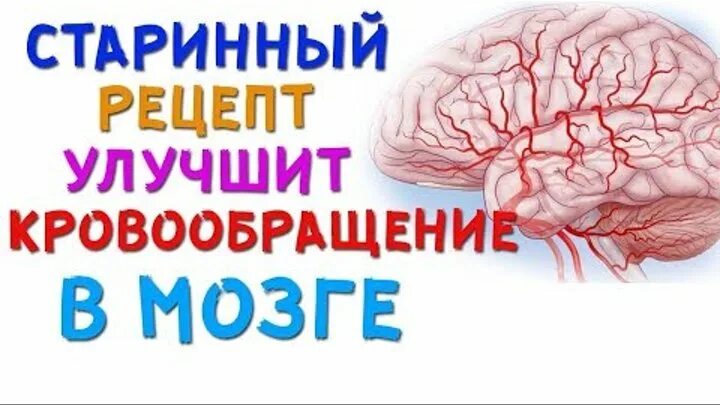 Народное средство для мозгов. Улучшение кровообращения мозга. Улучшение мозгового кровоснабжения. Улучшение кровоснабжения головного мозга. Улучшение микроциркуляции сосудов головного мозга.