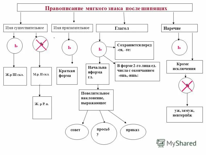 6 ь после шипящих