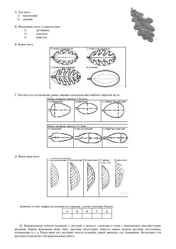 Типы листов по биологии в ОГЭ. Форма листа ОГЭ биология. ОГЭ по биологии листья. ОГЭ по биологии задание с листом. Огэ биология скворцов