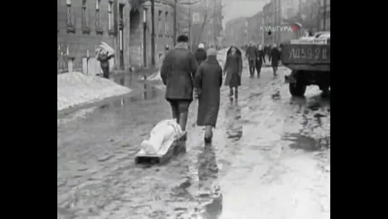 Темное дуло блокадной ночи. Чёрное дуло блокадной ночи. стих черное дуло блокадной ночи холодно. черное дуло блокадной ночи холодно. чёрное дуло блокадной ночи автор.