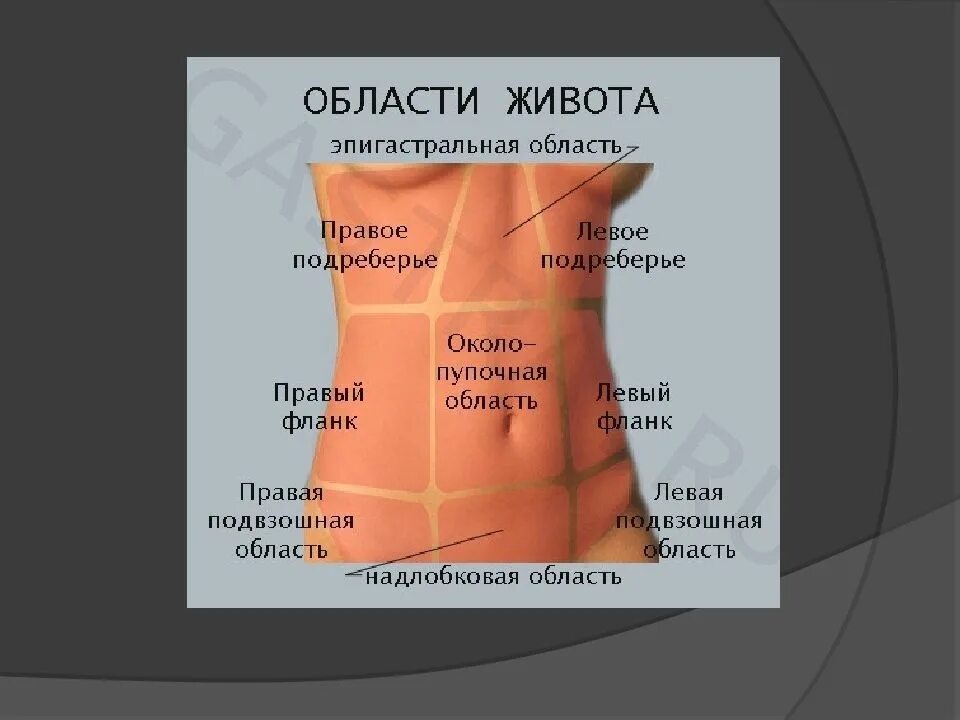 Боль в левом спереди. Болит подреберье справа. Что болит в подреберье с левой стороны. Боль в области правого подреберья. Юольв левом подреберье.