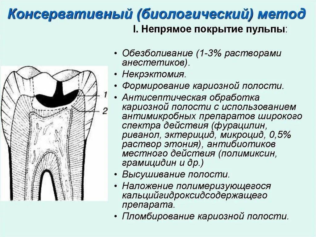 Защиты пульпы. Защиты пульпы