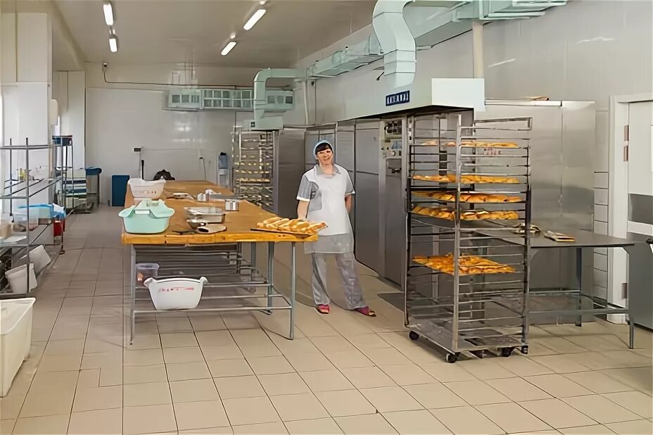 Конкорд школьное питание. Комбинат социального питания. Комбинат питания. Комбинат питания отдел кадров. Комбинат питания отдел кадров.