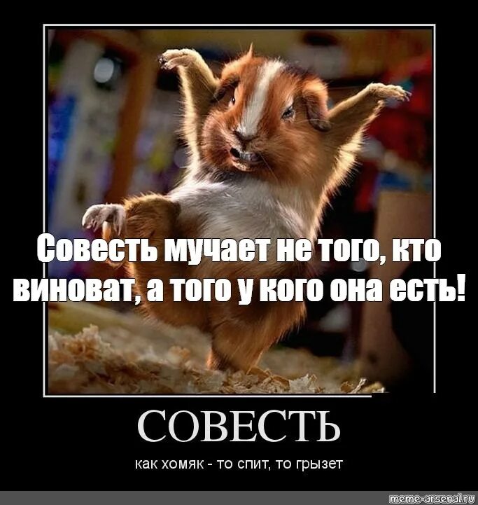 Изменила мучает совесть. Совесть Мем. Совесть мучает. Совесть мучает тех кто не виноват. Совесть мучает Мем.